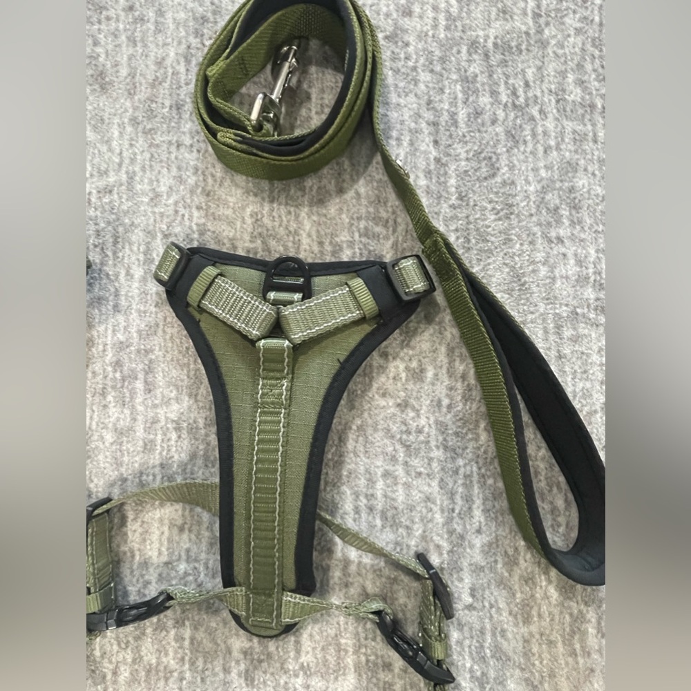 Kong Max XS harness and traffic leash set